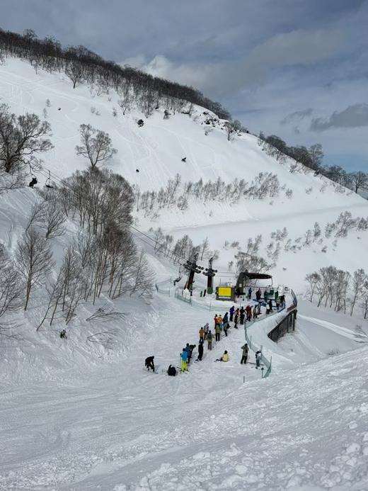 【25/26雪季元旦】12月31日-1月4日 苗场&神乐A团，5天4晚3滑，新泻苗场王子滑进滑出6299元起 商品图5