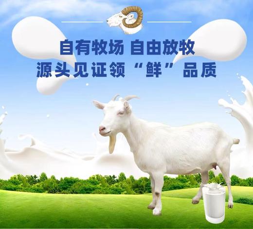 新疆羊奶粉农一师丝路兵团纯羊奶粉全脂/益生菌羊奶粉新疆发货 商品图3
