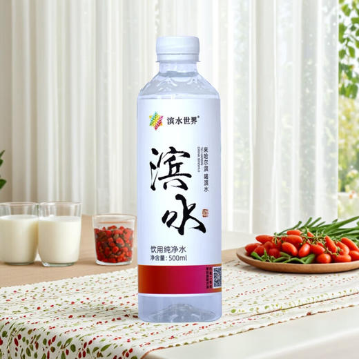 滨水世界饮用纯净水500ml 商品图1