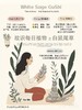 可遇不可求的好货 自然疗愈之白鼠尾草 商品缩略图4