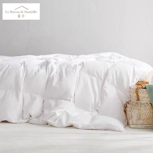 馨亭 鹅绒被舒适盈润95% 春秋被 被芯 商品图0