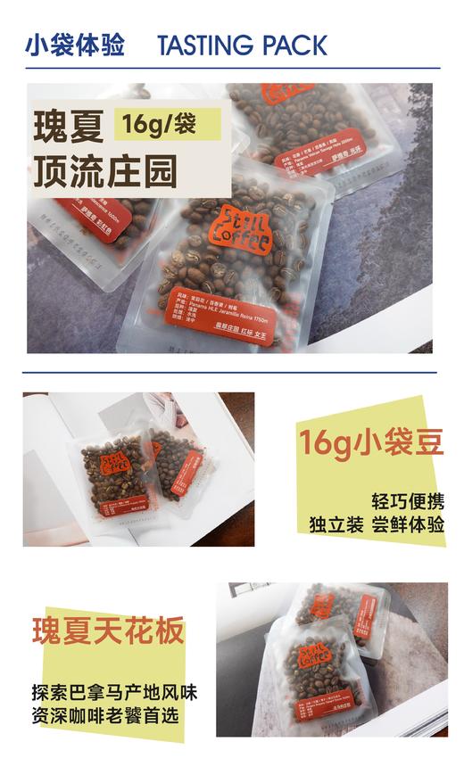 16g小袋豆｜巴拿马瑰夏 商品图1