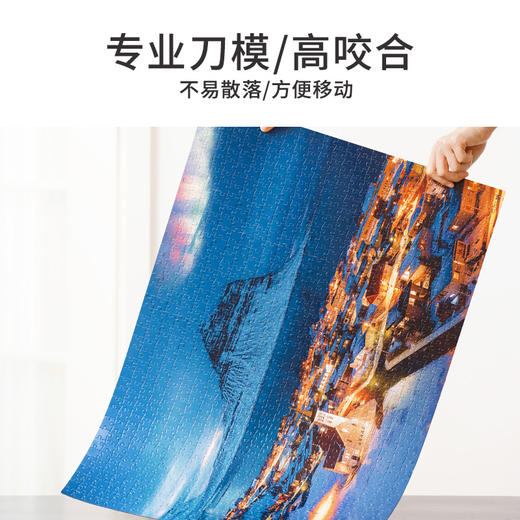 TOi图益-潮玩拼图摄影系列-冰岛极光-1000片-分包款 商品图5