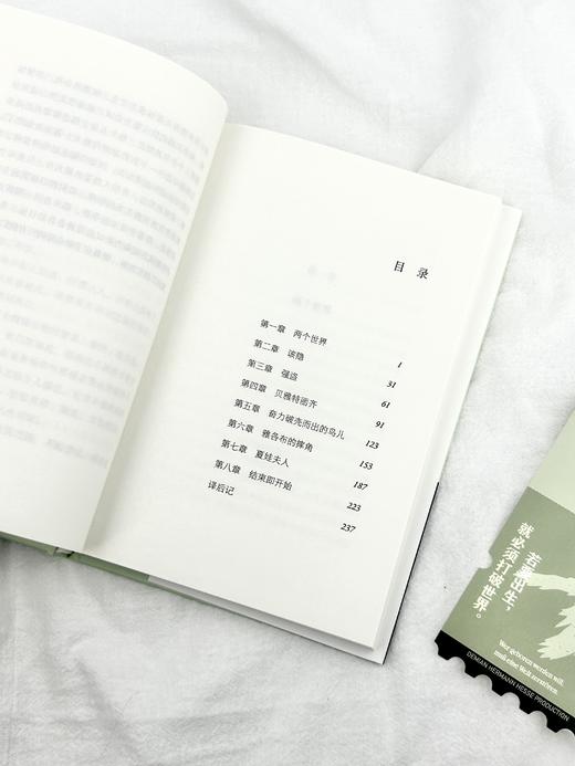 《黑塞经典四部曲》：《悉达多》 《荒原狼》 《德米安》 《在轮下》 全新装帧，封面均使用黑塞亲绘水彩画 商品图4