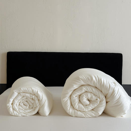 【换季出清】自然醒天丝棉大提花系列-80至臻大豆被TD 商品图13