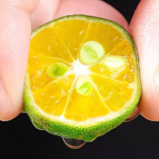 佐禧佑福 正宗海南小金桔新鲜青金桔柠檬水果当季皮薄（顺丰快递） 商品图2