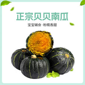 佐禧佑福 山东正宗贝贝南瓜 粉面香甜小南瓜 香甜软糯产地直发