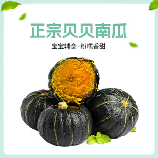 佐禧佑福 山东正宗贝贝南瓜 粉面香甜小南瓜 香甜软糯产地直发 商品图0
