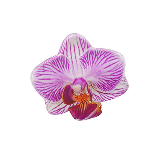 【生长力】紫蝴蝶兰 POPGRIP泡泡骚手机粘贴式气囊支架 Popout异形系列 粉色 植物花卉 商品图2