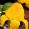 佐禧佑福 芒果 四川攀枝花凯特芒果新鲜水果当季特大芒果 商品缩略图2