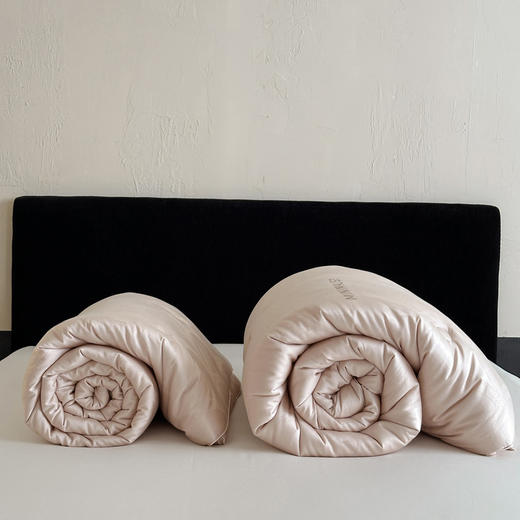 【换季出清】自然醒天丝棉大提花系列-雅奢蚕丝蛋白被TD 商品图13