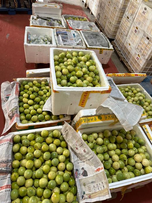 佐禧佑福 钦蜜9号黄金百香果酸甜多汁皱皮更甜产地直发（京东快递）百香果 商品图1