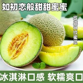 佐禧佑福 山东正宗玫珑网纹瓜一藤一瓜软糯多汁新鲜当季水果