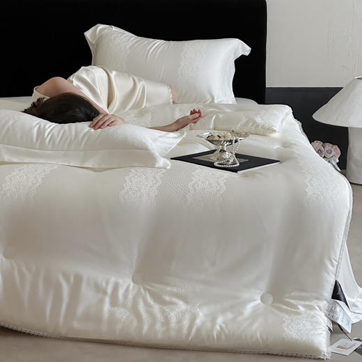 【换季出清】自然醒天丝棉大提花系列-80至臻大豆被TD 商品图0