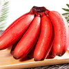 佐禧佑福 福建漳州红美人香蕉当季香焦红皮红香蕉鲜芭蕉 商品缩略图0