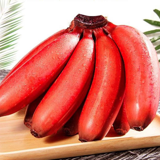 佐禧佑福 福建漳州红美人香蕉当季香焦红皮红香蕉鲜芭蕉 商品图0