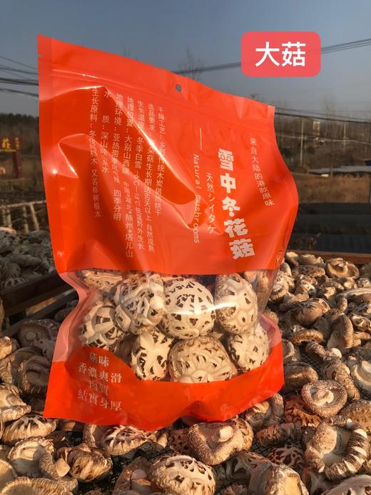 2025年 港款原味雪中冬花菇 【第九季/新菇】 商品图6