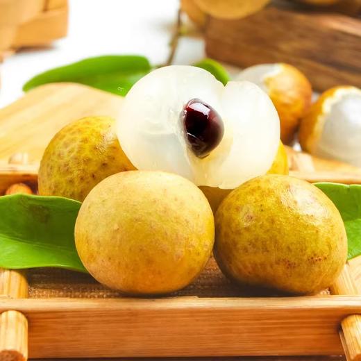 佐禧佑福 海南储良龙眼新鲜当季现摘带枝条发货（顺丰发货） 商品图0