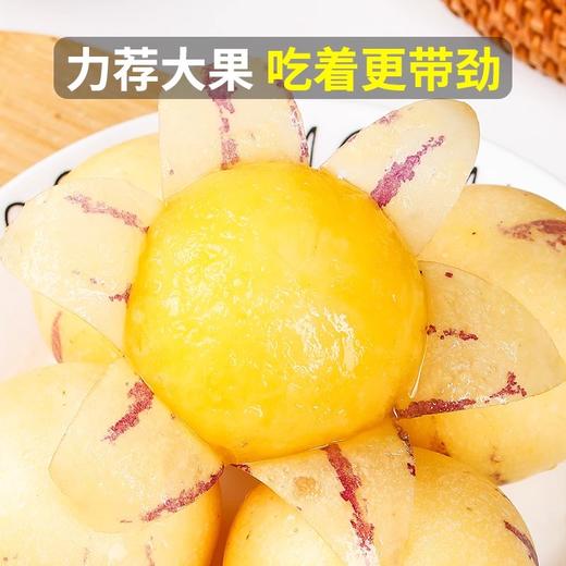 佐禧佑福 云南石新鲜人参果树上熟黄肉当季水果（顺丰发货） 商品图2