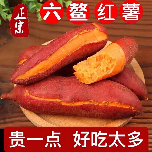 佐禧佑福 六鳌蜜薯红心蜜薯糯香甜地瓜农家种植产地直发（顺丰包邮）六鳌红蜜薯 商品图1