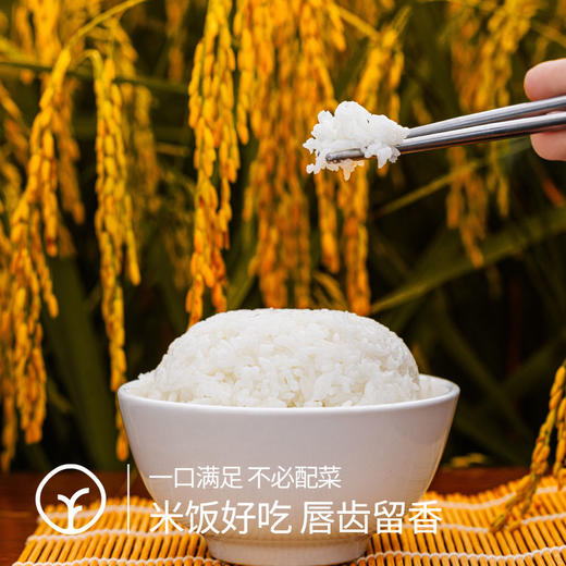 有机五常大米2.5kg 商品图2