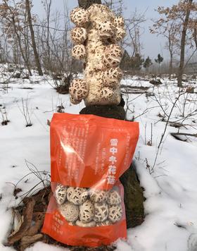 2025年 港款原味雪中冬花菇 【第九季/新菇】