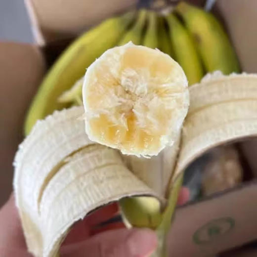 佐禧佑福 福建漳州天宝黄皮香蕉 现割绿皮香蕉当季水果青香蕉新鲜水果 商品图1