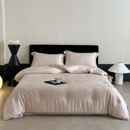 【换季出清】自然醒天丝棉大提花系列-雅奢蚕丝蛋白被TD 商品图1