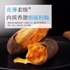 佐禧佑福 六鳌蜜薯红心蜜薯糯香甜地瓜农家种植产地直发（顺丰包邮）六鳌红蜜薯 商品缩略图8