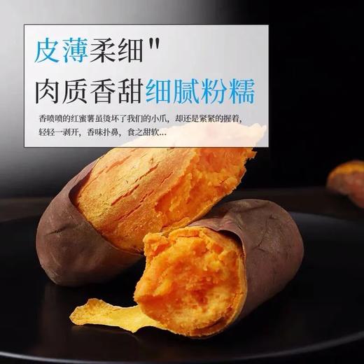 佐禧佑福 六鳌蜜薯红心蜜薯糯香甜地瓜农家种植产地直发（顺丰包邮）六鳌红蜜薯 商品图8