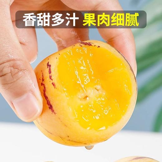 佐禧佑福 云南石新鲜人参果树上熟黄肉当季水果（顺丰发货） 商品图1