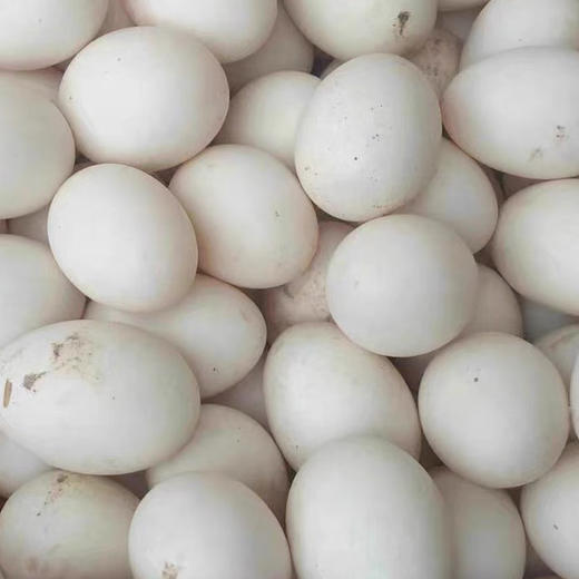 [地标好物] 连城白鸭蛋 30枚 商品图3
