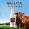 【雪兰订奶到家】挪威红牛鲜牛奶 | 塑瓶 720g 配送上门 【KM】 商品缩略图3