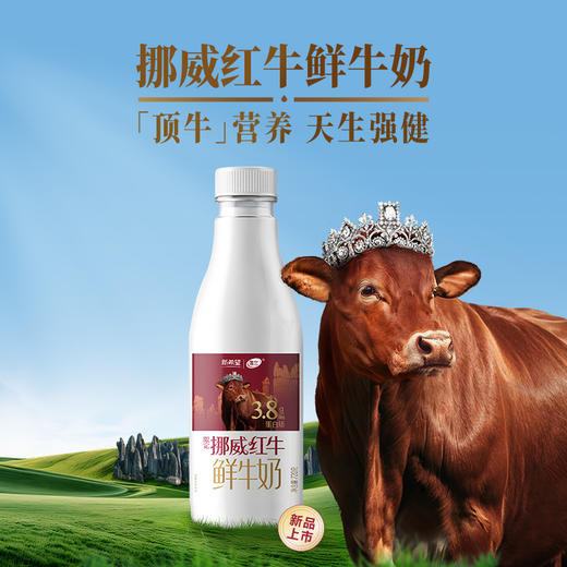 【雪兰订奶到家】挪威红牛鲜牛奶 | 塑瓶 720g 配送上门 【KM】 商品图3