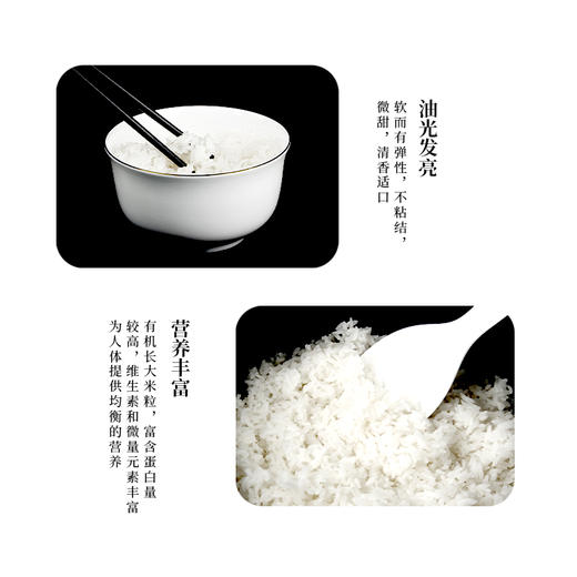 黑龙江有机初方大米5kg 商品图2