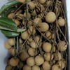 佐禧佑福 海南储良龙眼新鲜当季现摘带枝条发货（顺丰发货） 商品缩略图5