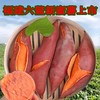 佐禧佑福 六鳌蜜薯红心蜜薯糯香甜地瓜农家种植产地直发（顺丰包邮）六鳌红蜜薯 商品缩略图2