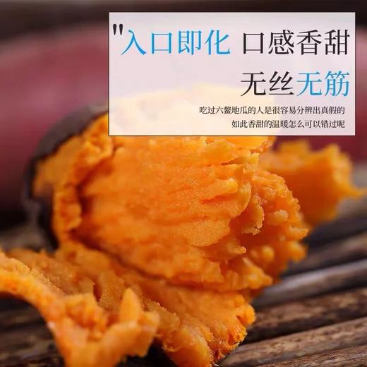 佐禧佑福 六鳌蜜薯红心蜜薯糯香甜地瓜农家种植产地直发（顺丰包邮）六鳌红蜜薯 商品图5