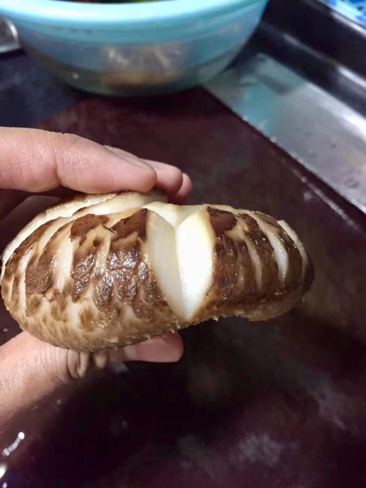 2025年 港款原味雪中冬花菇 【第九季/新菇】 商品图2