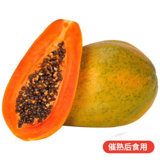 佐禧佑福 海南红心木瓜新鲜水果原产地直发（顺丰包邮） 商品图0