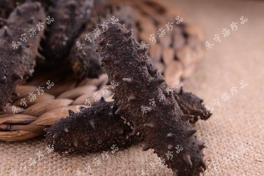 有机干海参（默认普通礼盒） 商品图0