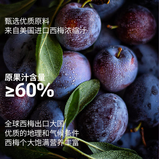 Minayo西梅益生元饮15袋 商品图3