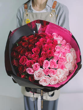 【爱的誓言】66支