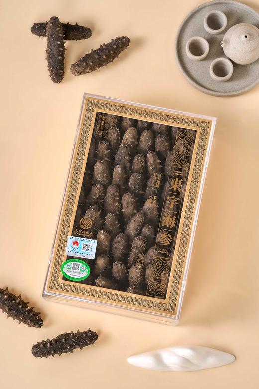 有机干海参（默认普通礼盒） 商品图4
