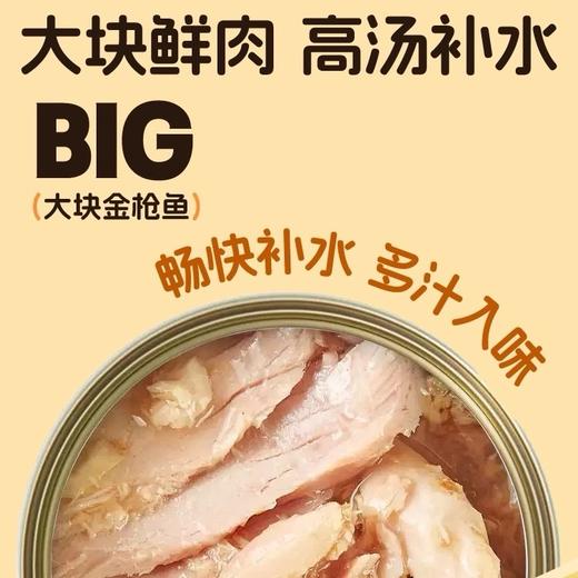 赤道觅食幼猫湿粮小金罐85g 商品图1