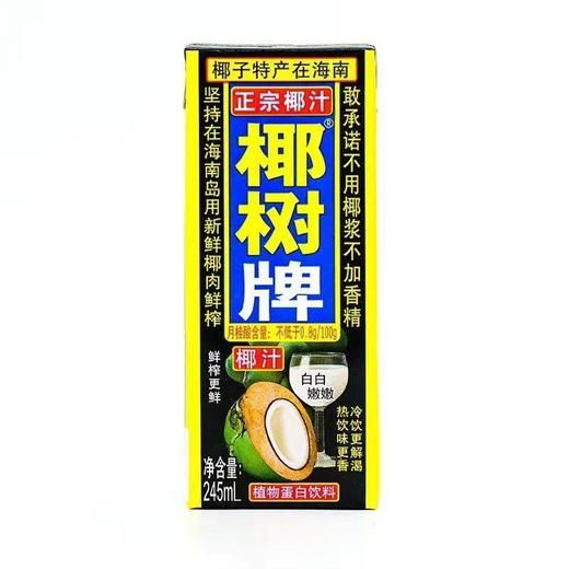 椰树牌椰汁植物蛋白饮料245ml 商品图0