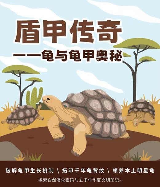 【南京】盾甲传奇-龟与龟甲 商品图0