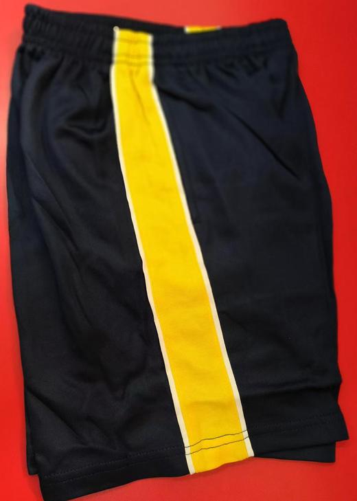 佛山市南海区狮山镇树本小学校服 商品图2