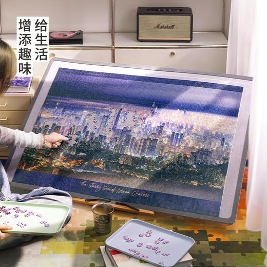 TOi图益-潮玩拼图摄影系列-繁华之下-2000片 商品图2