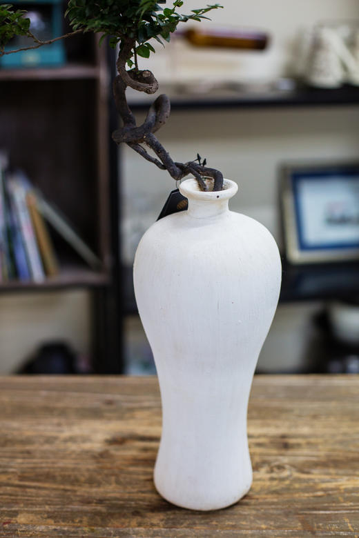 造型提根紫檀 商品图2